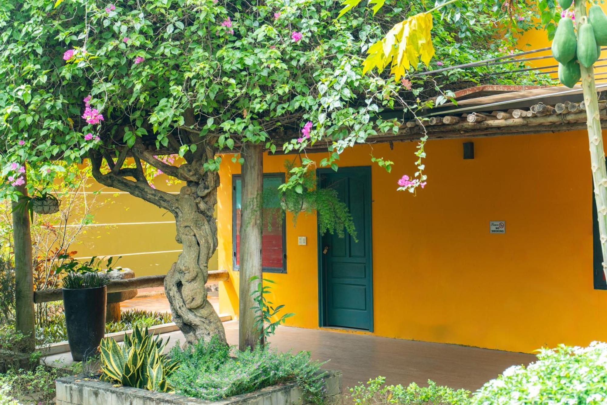 Greenfield Farmstay Vung Tau Ba Ria Exteriér fotografie